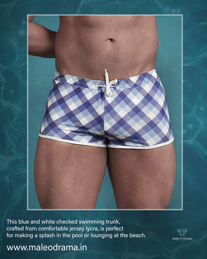 Swimming trunk in blue and white checkered Print