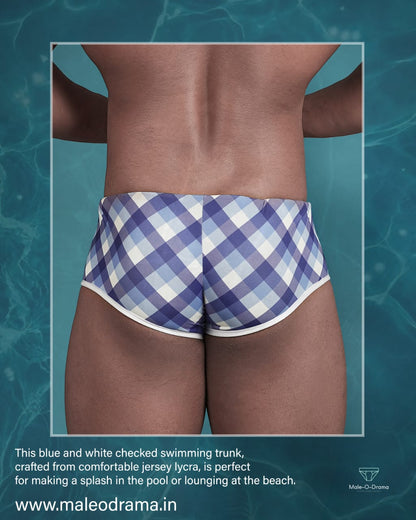 Swimming trunk in blue and white checkered Print